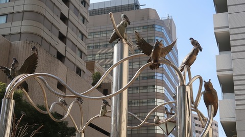 20210213133839_IMG_0466