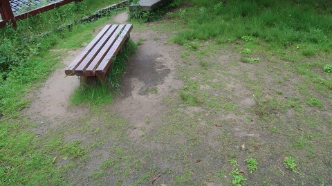 20240501135026_IMG_0999