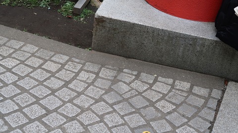 20221217120617_IMG_7383