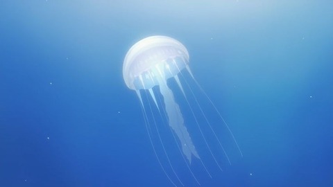 20211205142909_IMG_2383_