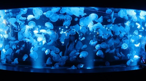 20220812120221_IMG_5638