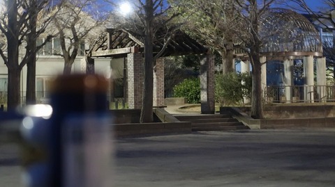 20190321182606_IMG_1197