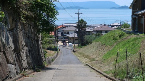 20220701135255_IMG_4714