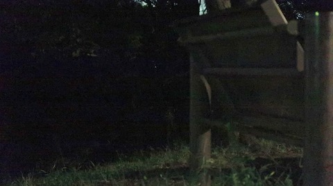 20220828192050_IMG_6101