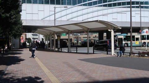 20210223130753_IMG_0648