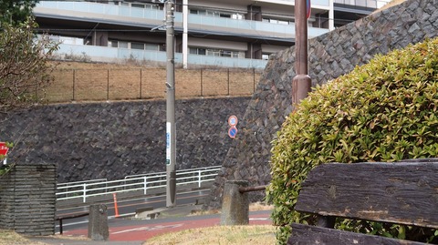 20190209102558_IMG_0875