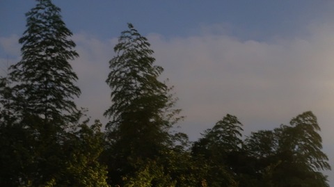 20220828194824_IMG_6094