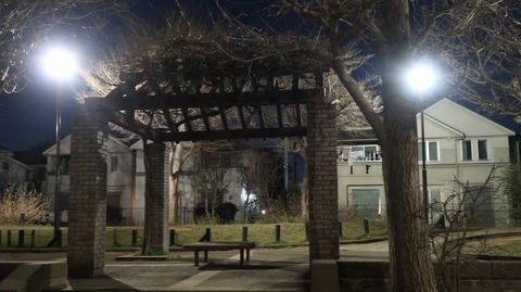 20190321184948_IMG_1217