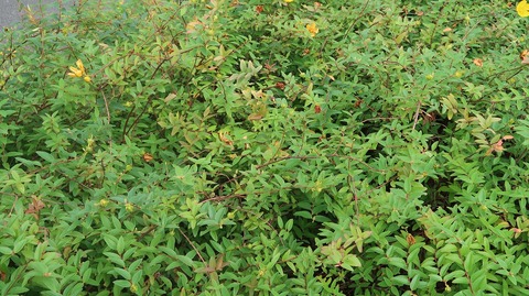 20230610155043_IMG_8472