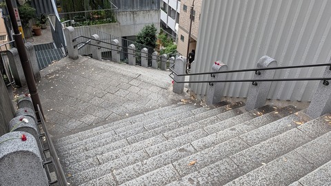 PXL_20251108_034727318