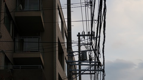 20190223165856_IMG_1106