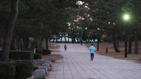 20210206174522_IMG_0290