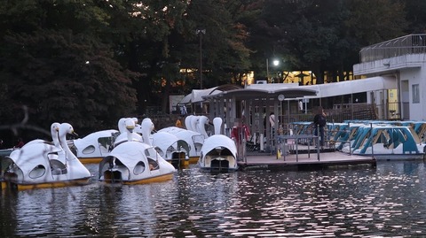 20201114170252_IMG_8862