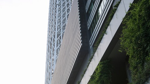 20220730173816_IMG_5291