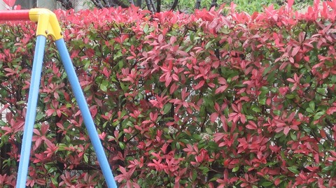 20230415164557_IMG_7942