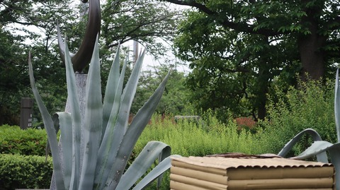 20220515181358_IMG_4297