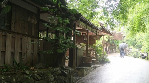 20220501133125_IMG_3757