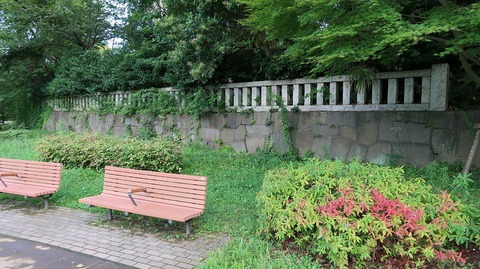 20190727150646_IMG_3089