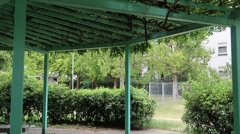 20220812135722_IMG_5683