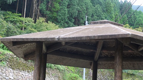 20210919113135_IMG_2117