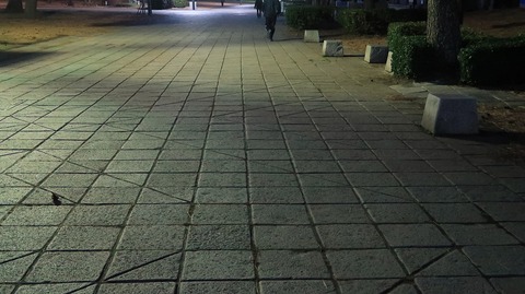 20210206180335_IMG_0298