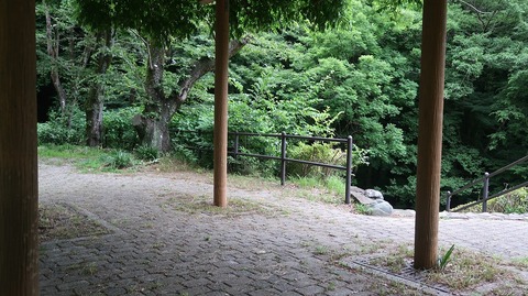 20220611175225_IMG_4607