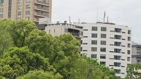 20220508175351_IMG_4202