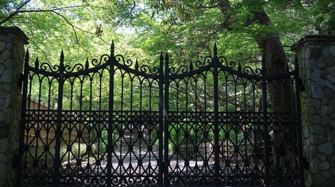 20190525124647_IMG_2402