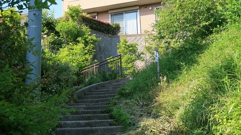 20190525160655_IMG_2471