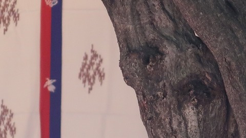 20201004143201_IMG_8417