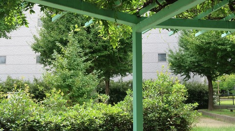 20220812135505_IMG_5679