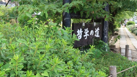 20220813103735_IMG_5834