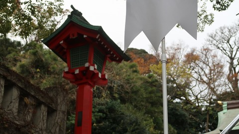 20221217130947_IMG_7448