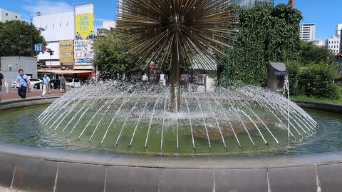 20200810142043_IMG_7244