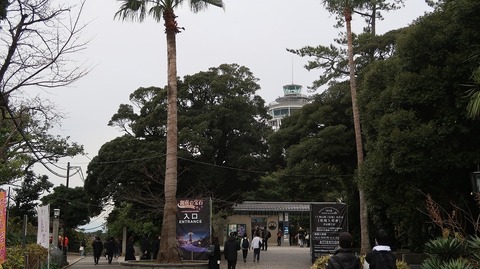 20221217123109_IMG_7415