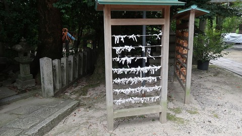 20220813090917_IMG_5777