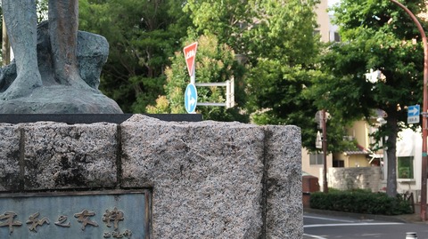 20200810163558_IMG_7302