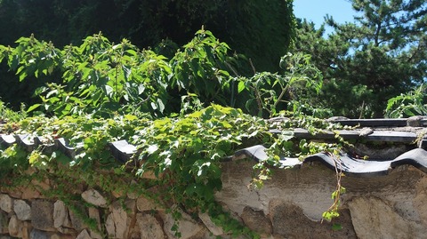 20220702152257_IMG_4861