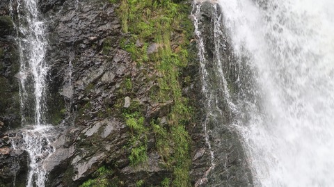 20230506144749_IMG_8189