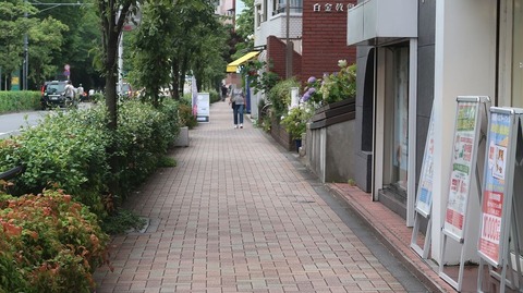 20230610173851_IMG_8508