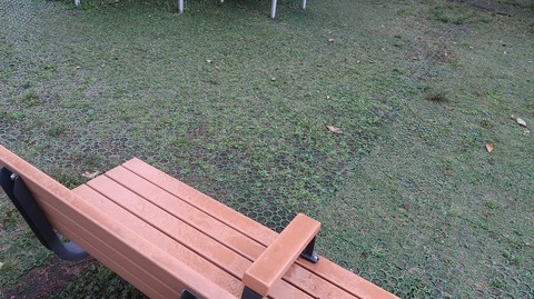 20230513174159_IMG_8318