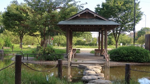 20220811171758_IMG_5563