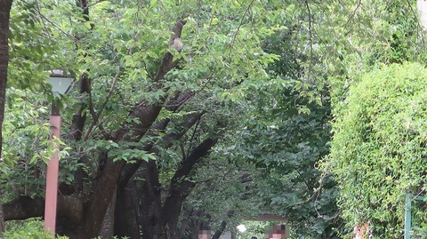 20230610170849_IMG_8501