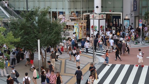 20190811155620_IMG_3226