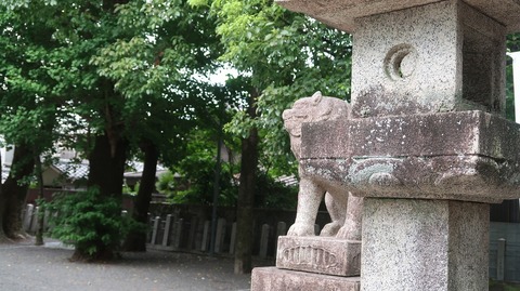 20220813091605_IMG_5787