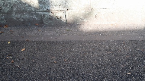 20220625173638_IMG_4650