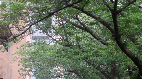 20230610170709_IMG_8498