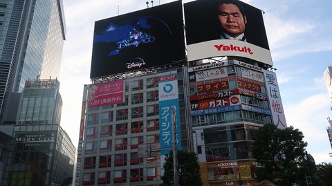 20230910162205_IMG_9191