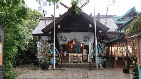 20230415155349_IMG_7908