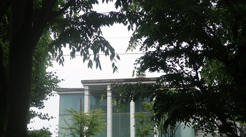 20230513173737_IMG_8312